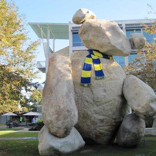 photo of UCSD Bear at 9500 Gilman Drive San Diego CA 92037