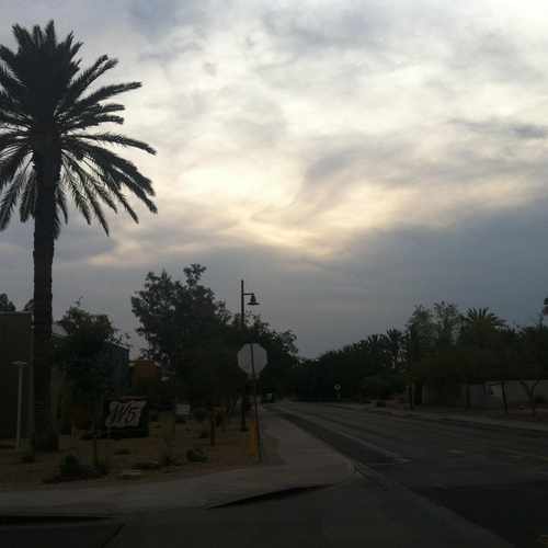 photo of View at 515 West Brown Street Tempe AZ 85281
