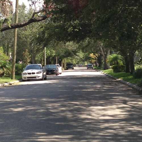 photo of S. Packwood Avenue at 800 South Packwood Avenue Tampa FL 33606