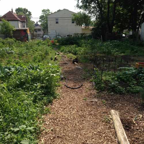 photo of Shalom Garden, Community Garden at 2833 Bloomington Avenue Minneapolis MN 55407