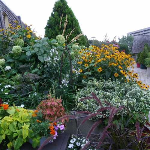 photo of Mississauga Valley Blvd at 1250 Mississauga Valley Boulevard Mississauga ON Canada