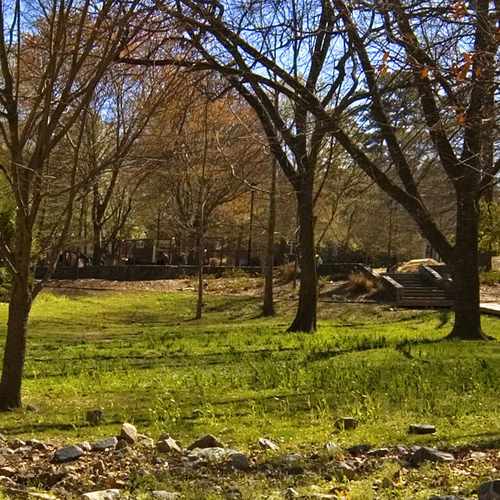 photo of Sidney Marcus Park at 800 Cumberland Road Northeast Atlanta GA 30306