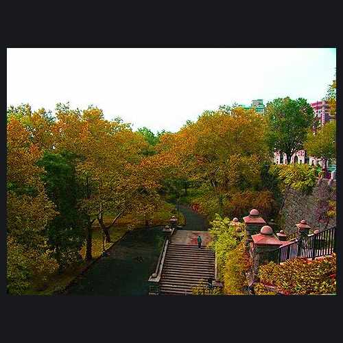 photo of Foliage in Manhattan at Riverside Drive New York NY US