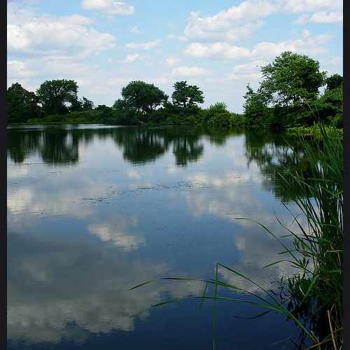 photo of Eibs Pond Park at 45 Leewood Loop Staten Island NY 10304