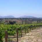 Photo of Fallbrook Winery in Fallbrook