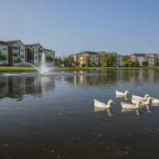 Rental info for Seaside Grove at Carolina Forest