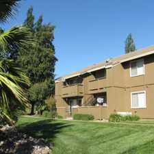 Rental info for Canyon Terrace Apartments