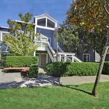 Rental info for Larkspur Courts