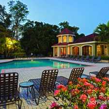 Rental info for Cypress Shores