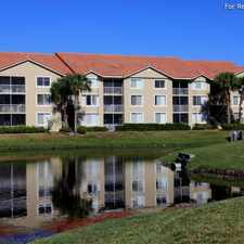 Rental info for Oasis at Springtree