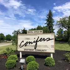 Rental info for Conifers