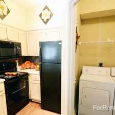 Rental info for Walnut Hill