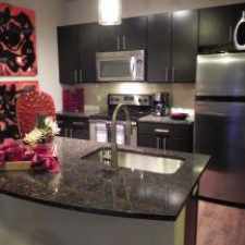 Rental info for Tree