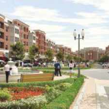 Rental info for CityPark View
