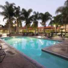 Rental info for Corona Pointe Resort Apartments