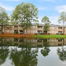 Rental info for Palms at Sand Lake, The