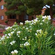 Rental info for La Fiesta