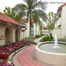 Rental info for La Villita