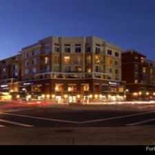 Rental info for The Mercer