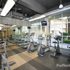 Rental info for Skyline Lofts (Downtown Phoenix)