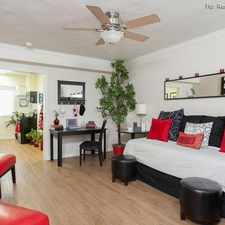 Rental info for California Palms