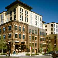 Rental info for Alcyone