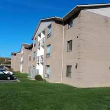 Rental info for 37 Rykert Street