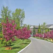 Rental info for Knob Hill Apartments