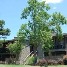 Rental info for Abbington Place