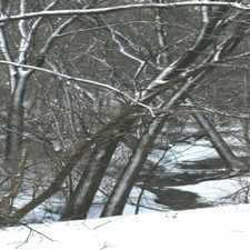 Rental info for American Colony