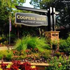 Rental info for Coopers Hawk