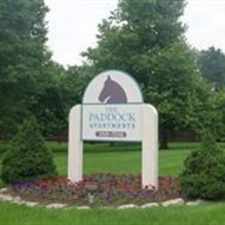Rental info for Paddock Apartments