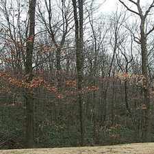 Rental info for UPPER BROOKVILLE 5.38 ACRES LAND FOR SALE