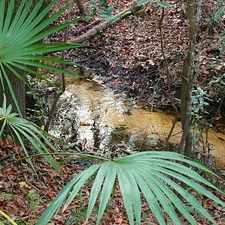 Rental info for Single Family Home Home in Panama city for For Sale By Owner