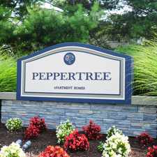 Rental info for Peppertree VA