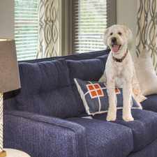 Rental info for Cedar Flats