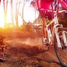 Rental info for The Residence At Tailrace Marina