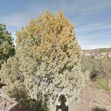 Rental info for Single Family Home Home in Prescott for For Sale By Owner