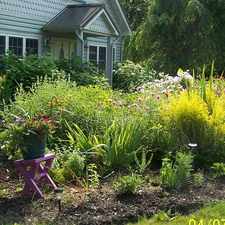 Rental info for Marie