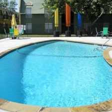 Rental info for 7913 Hardwood Dr #1802