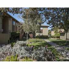 Rental info for Driftwood Apartments