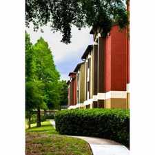 Rental info for Sabal Palm at Carrollwood Place