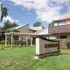 Rental info for Blossom Oaks