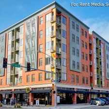 Rental info for E300 and AP Lofts