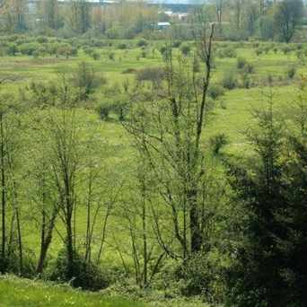 Photo of Colony Farm in Port Coquitlam