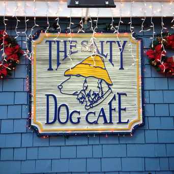 Hilton Head Island Apartments For And Photo Of The Salty Dog Cafe In Hilton Head Island