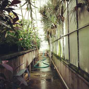 Photo of New Botany Greenhouse in University District, Seattle