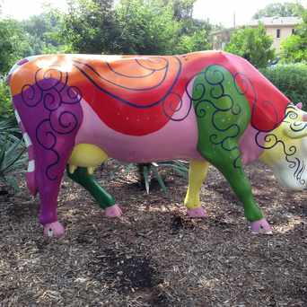 Photo of 1603 ENFIELD/WEST LYNN in Old Enfield, Austin