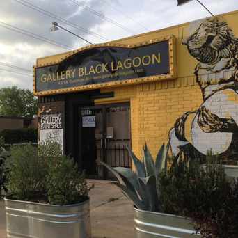 Photo of Gallery Black Lagoon in Hyde Park, Austin