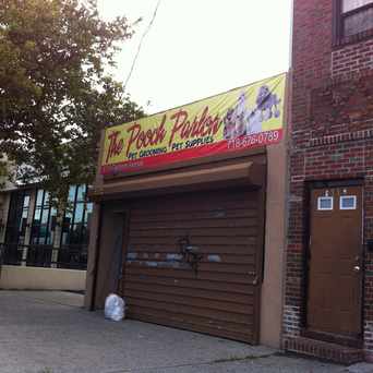 Photo of Pooch Parlor in Canarsie, New York